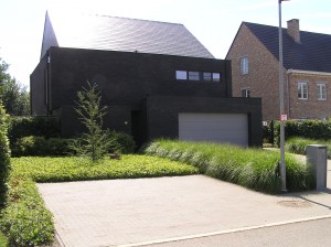 moderne tuin