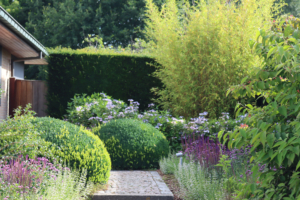 exclusieve tuin met prachtige borders met padje