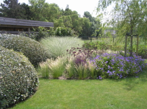 exclusieve tuin met borders en bomen