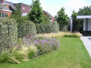 exclusieve tuin met bloemenborder en poolhouse