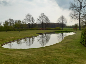 Tuin met vijver